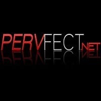 Порно студия Pervfect